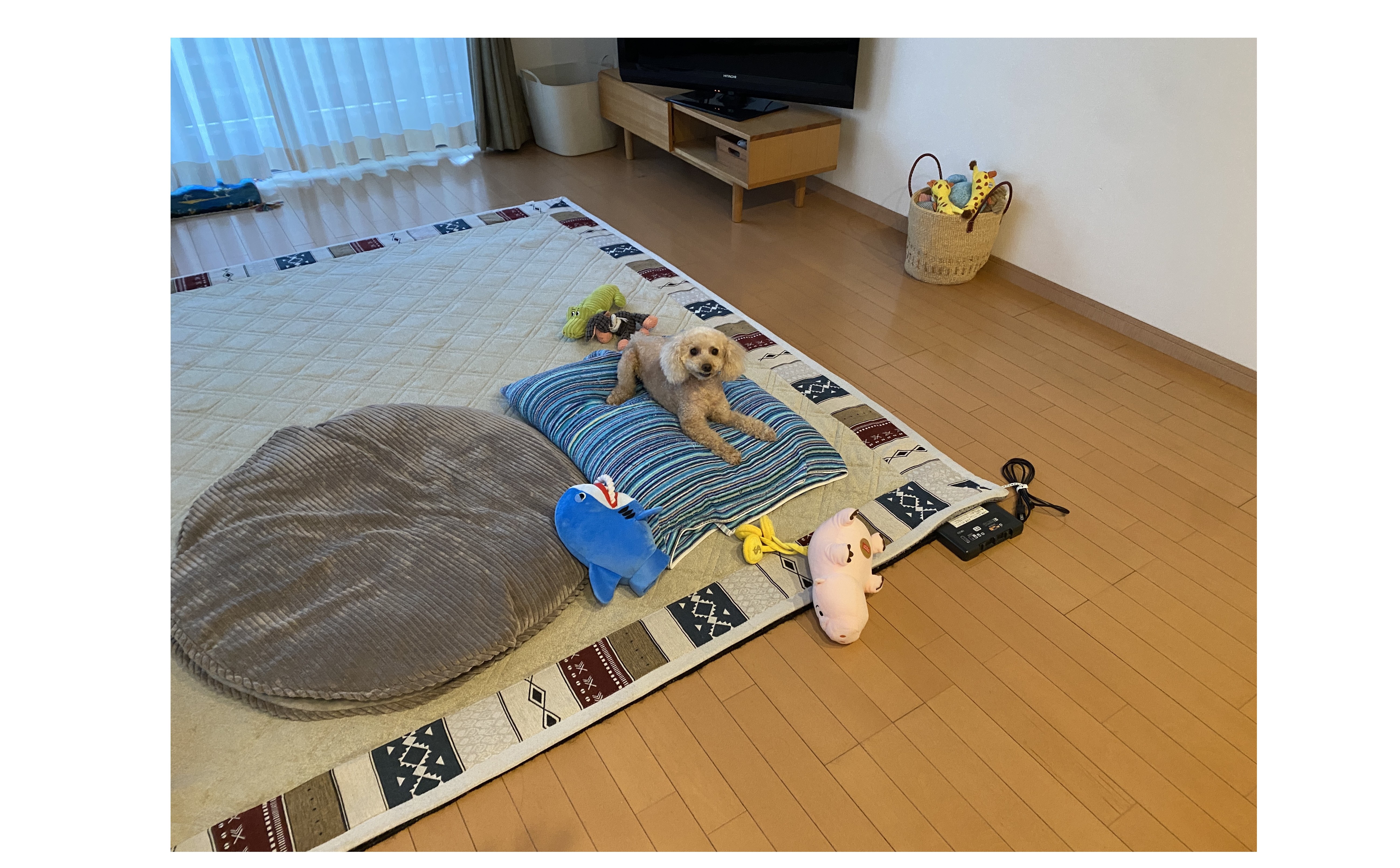 『経営は生き物』