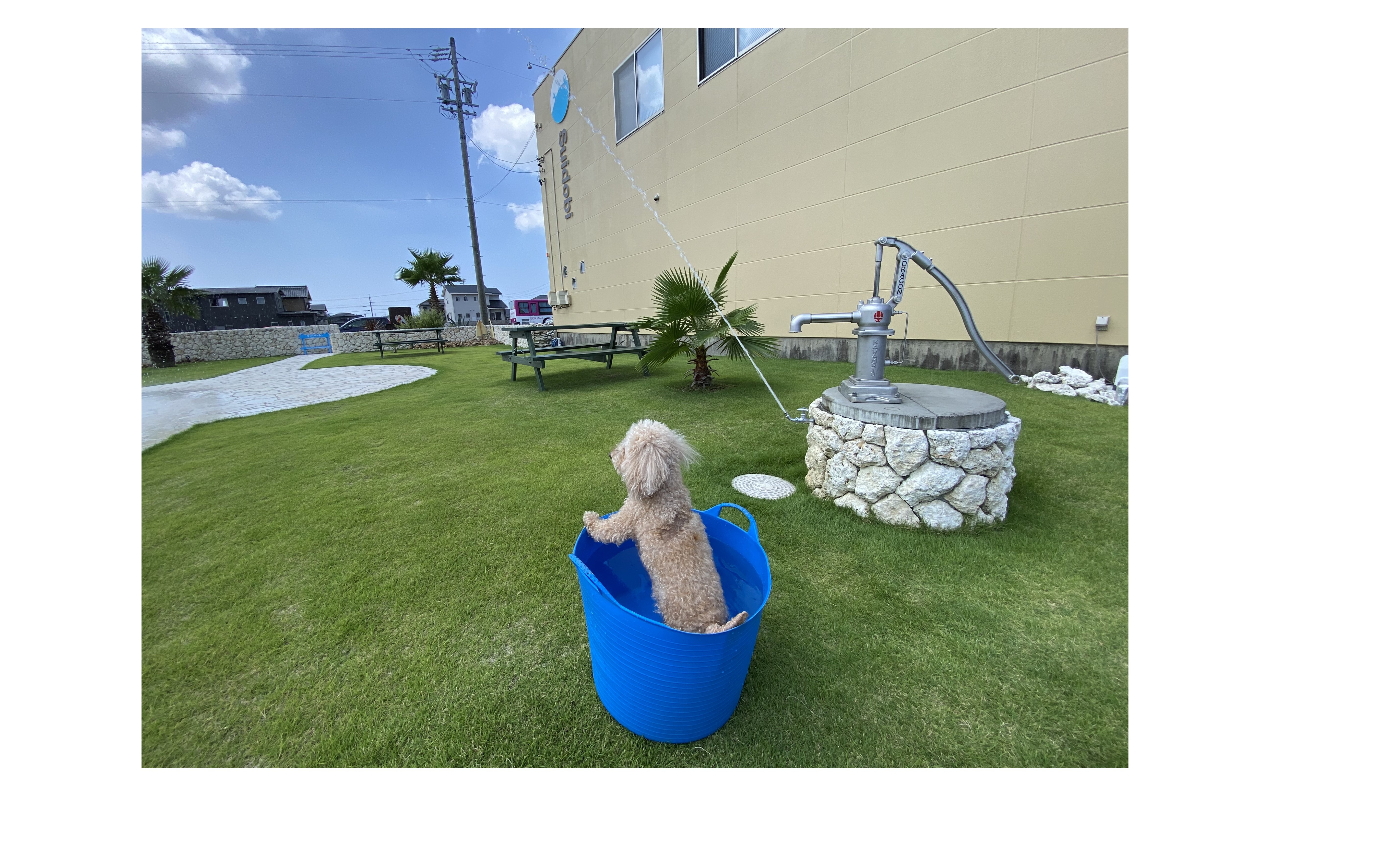 『受け入れる側の問題』