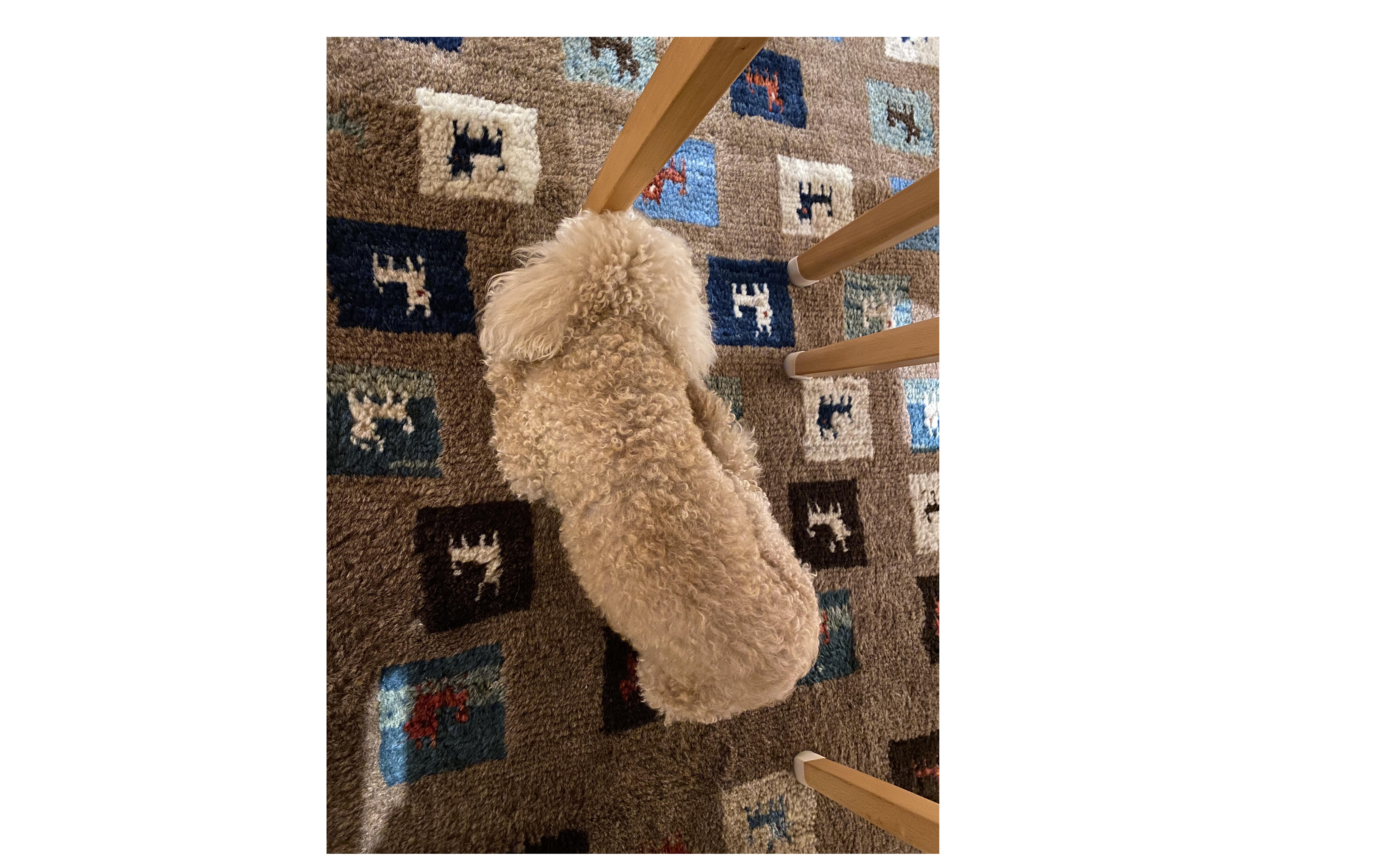 『価格競争からの脱却』