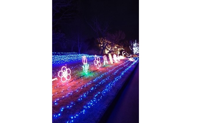 イルミネーション