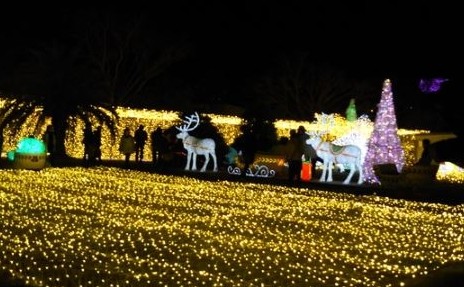 イルミネーション