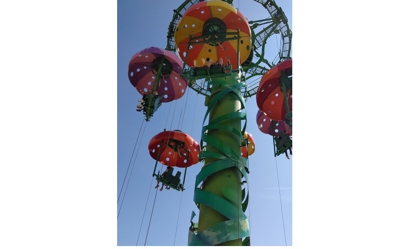 初めての遊園地