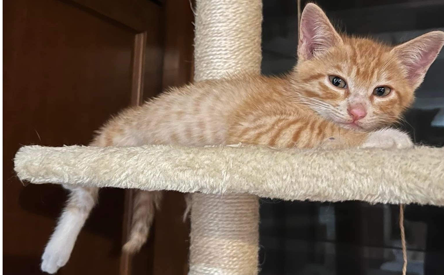 どしゃぶりの雨の中で