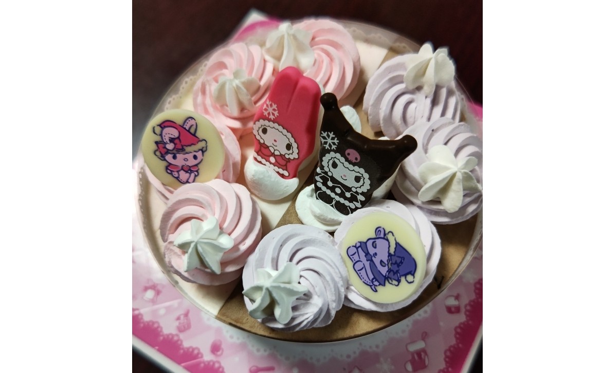 家族でクリスマスをお祝いしました