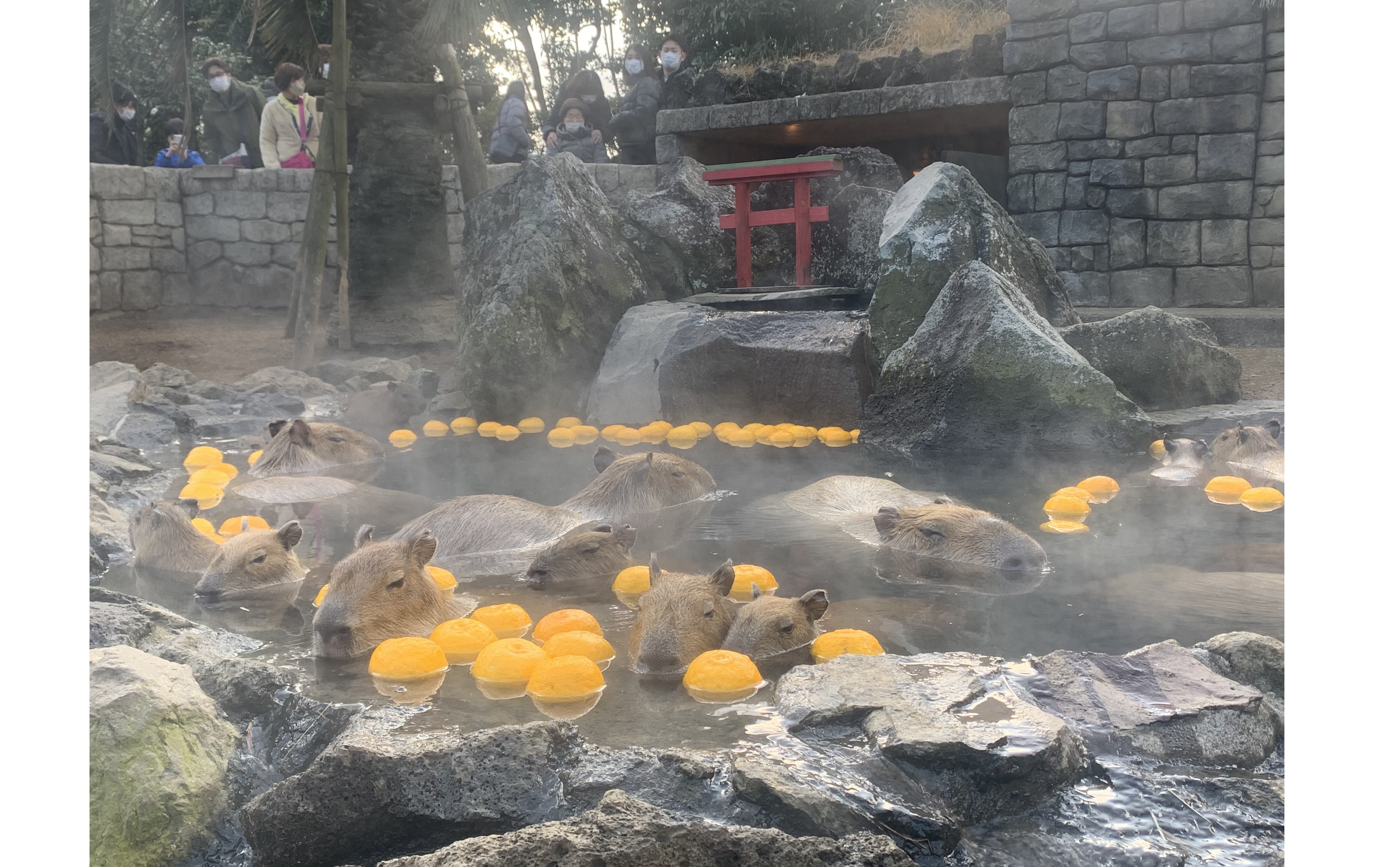 堪能♪下田旅行～